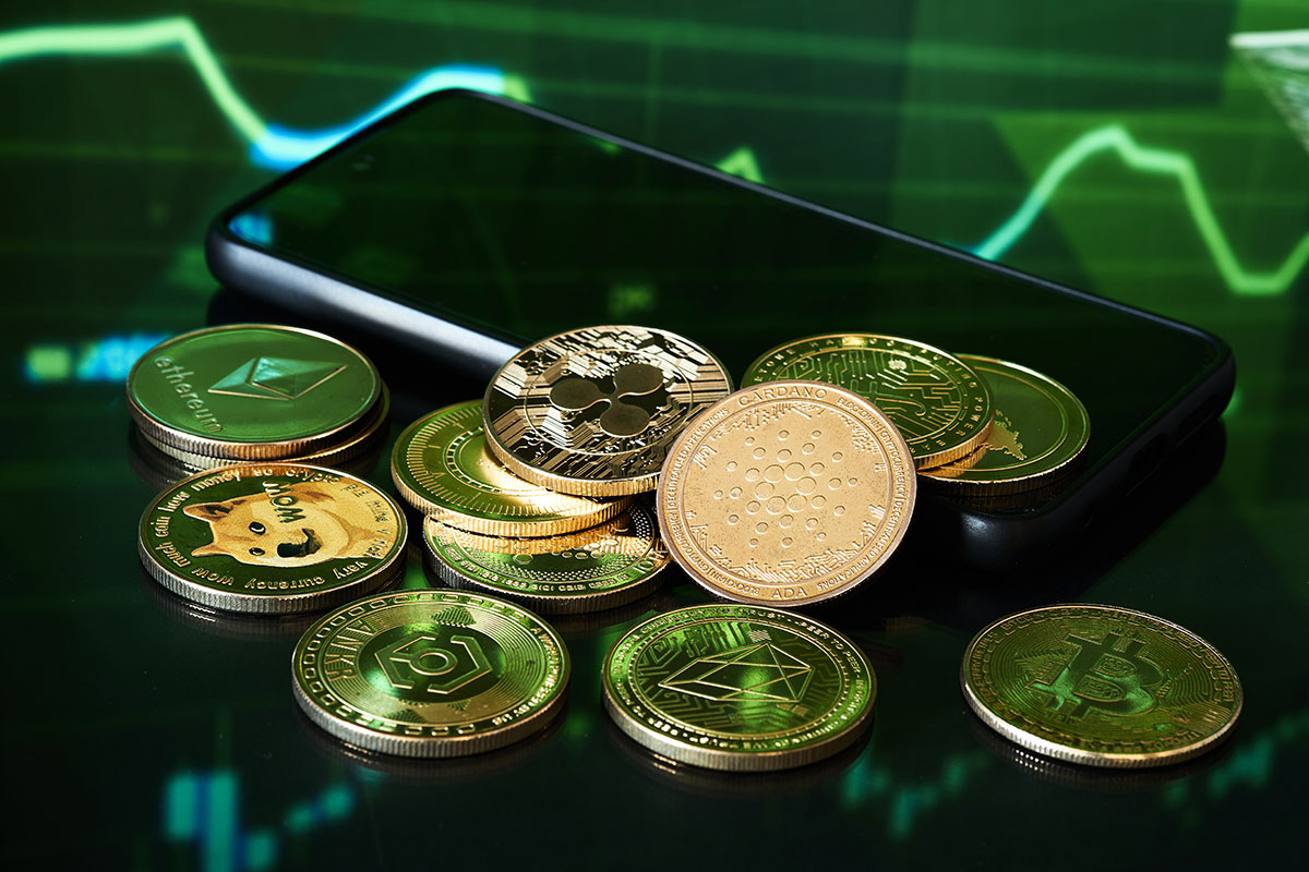 SHIB COIN